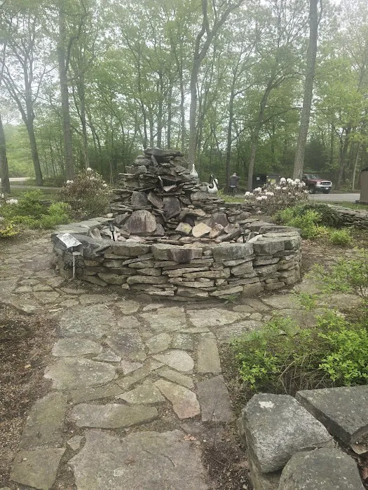 Douglas Forest RV Resort Picture 7