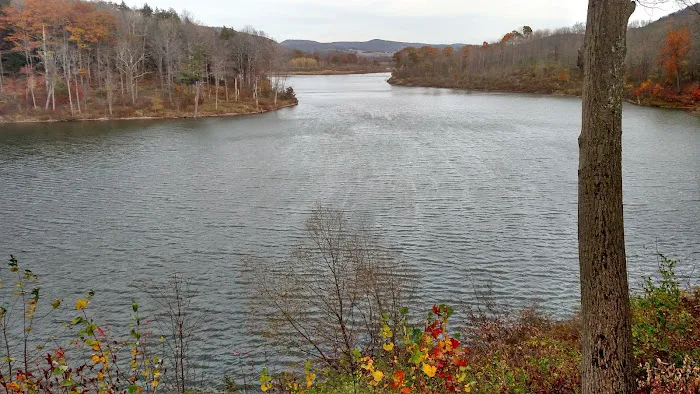 East Sidney Dam Recreation Area Picture 1