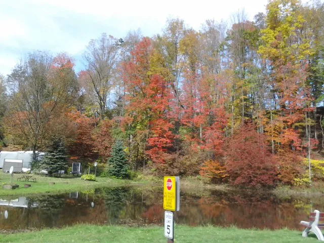 Unadilla / I-88 / Oneonta KOA Journey Picture 7