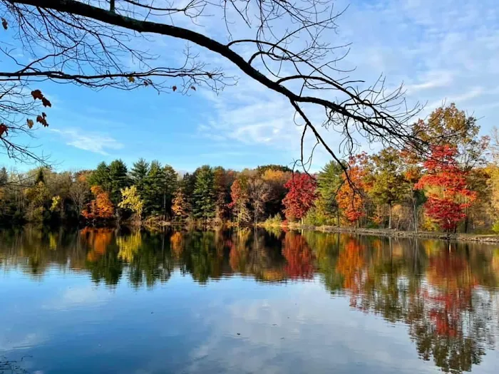 Lakewood Park Campground Picture 5
