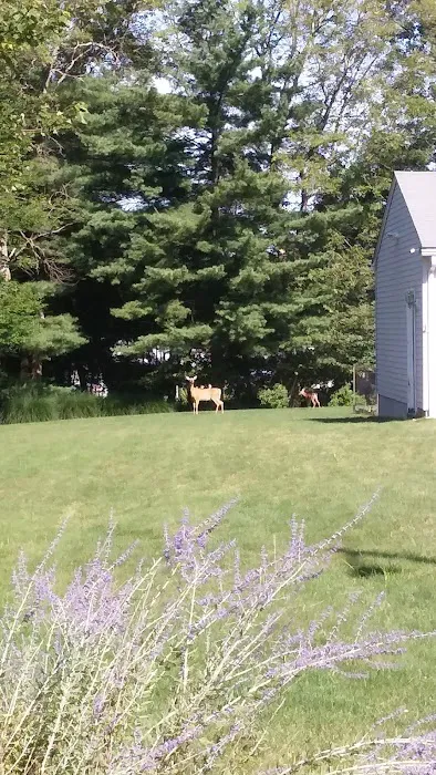 Ramblewood Estates Picture 5