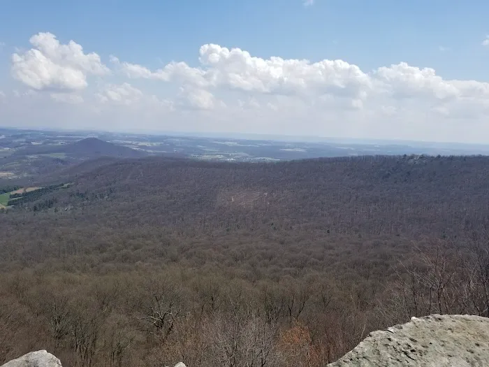 Blue Rocks Picture 6