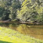 Sacony Family Campground