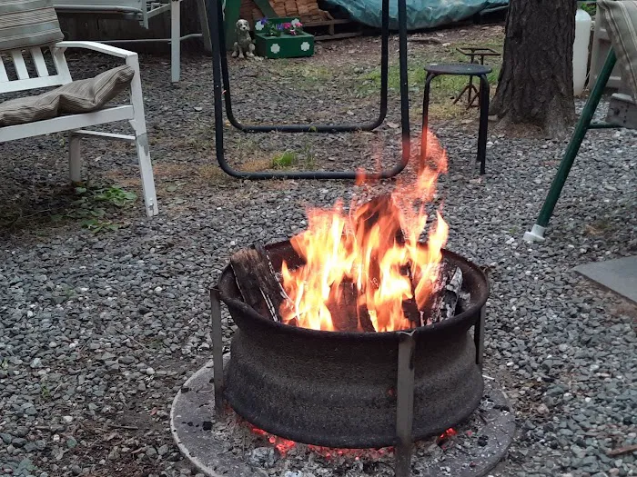 Christmas Pines Campground, LLC Picture 5