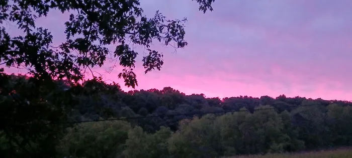 Christmas Pines Campground, LLC Picture 9