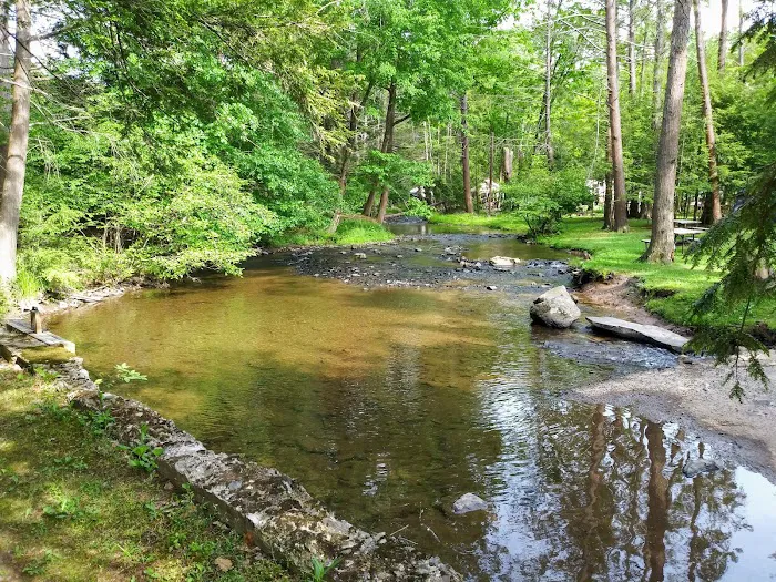 Moyers Grove Campground Picture 4