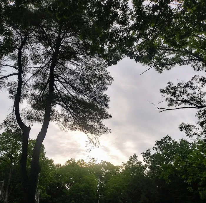 Moyers Grove Campground Picture 9
