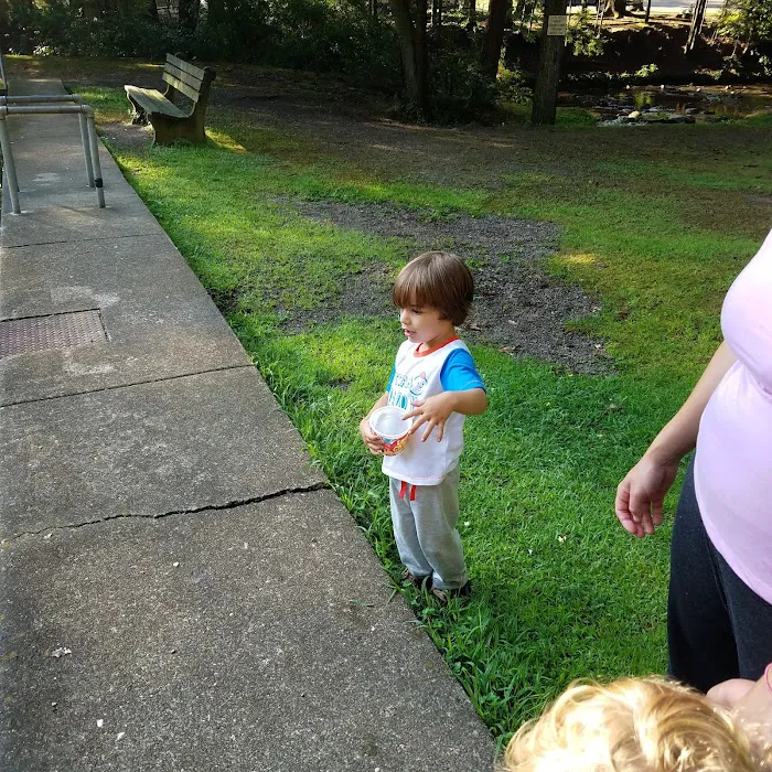 Moyers Grove Campground Picture 8