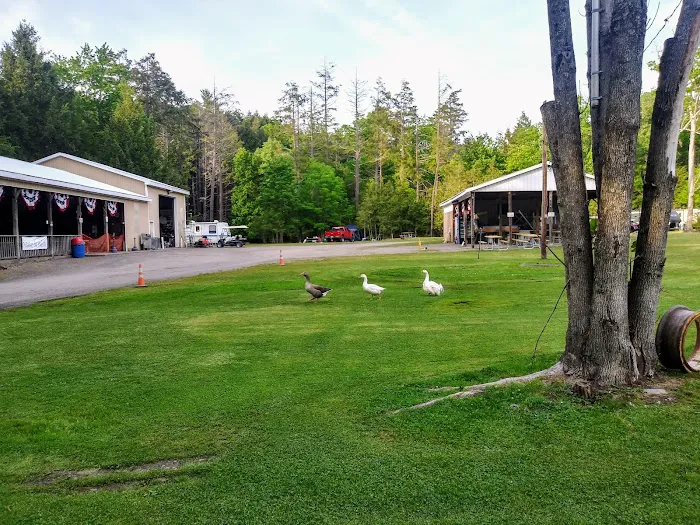 Moyers Grove Campground Picture 6