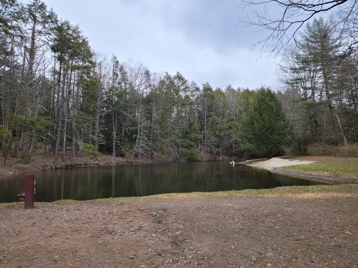 Moyers Grove Campground Picture 5