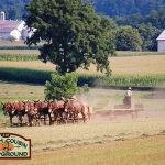 Dutch Cousin Campground
