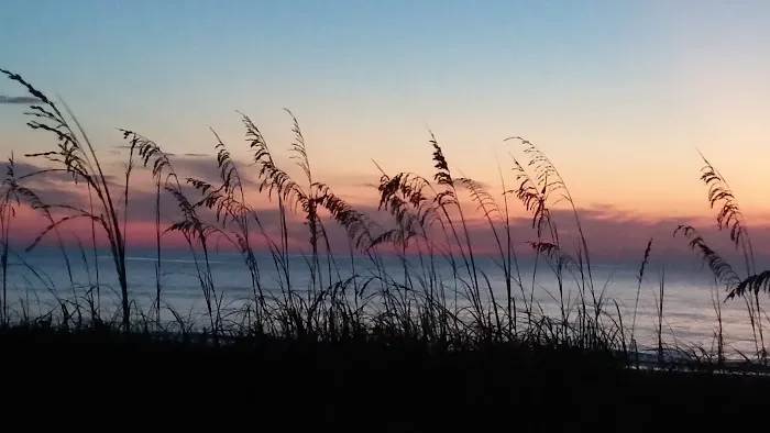 Surfside Oceanfront Cottages Picture 4