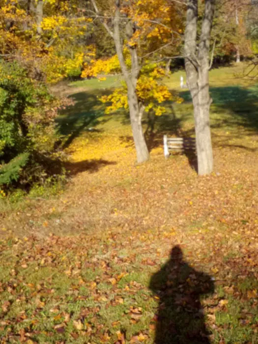 Camp Joy Berks County Parks Picture 1