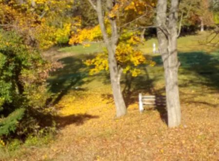 Camp Joy Berks County Parks