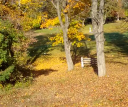 Camp Joy Berks County Parks