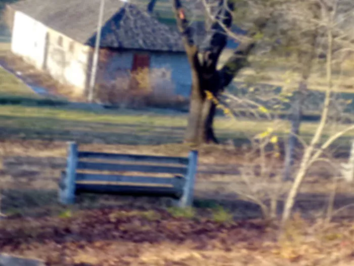 Camp Joy Berks County Parks Picture 5