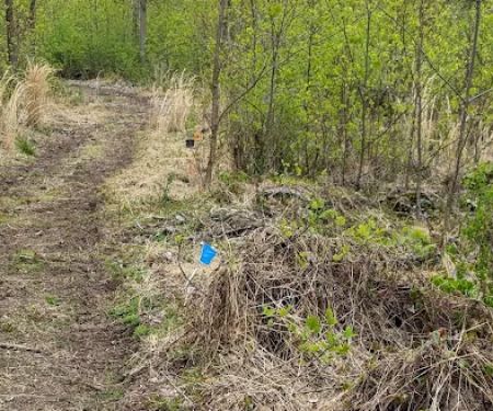 Camp Furnace Hills