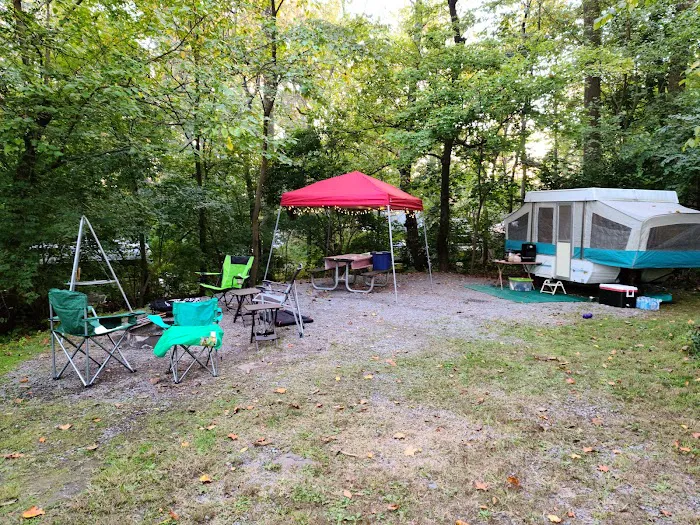 Starlite Camping Resort Picture 8