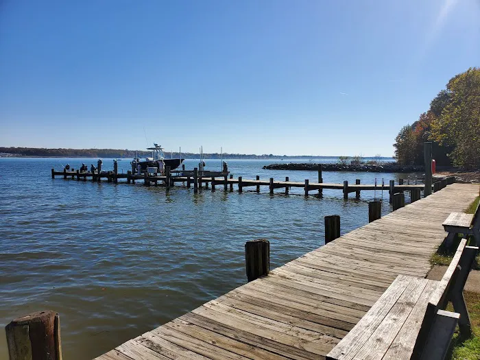 Elk Neck State Park Campground Picture 4