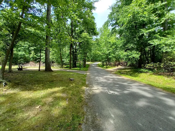Elk Neck State Park Campground Picture 6