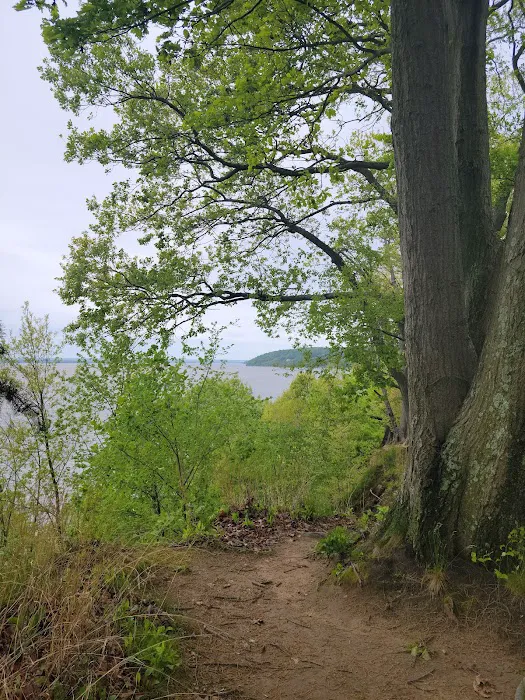 Elk Neck State Park Campground Picture 8