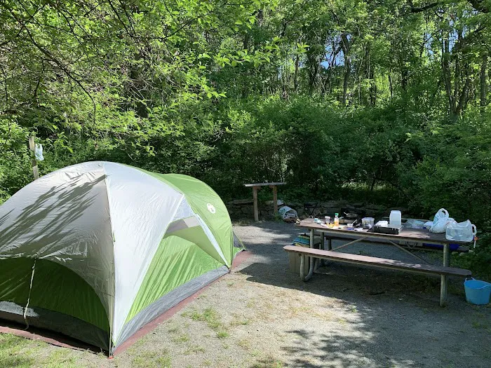 Susquehanna State Park Campground Picture 2