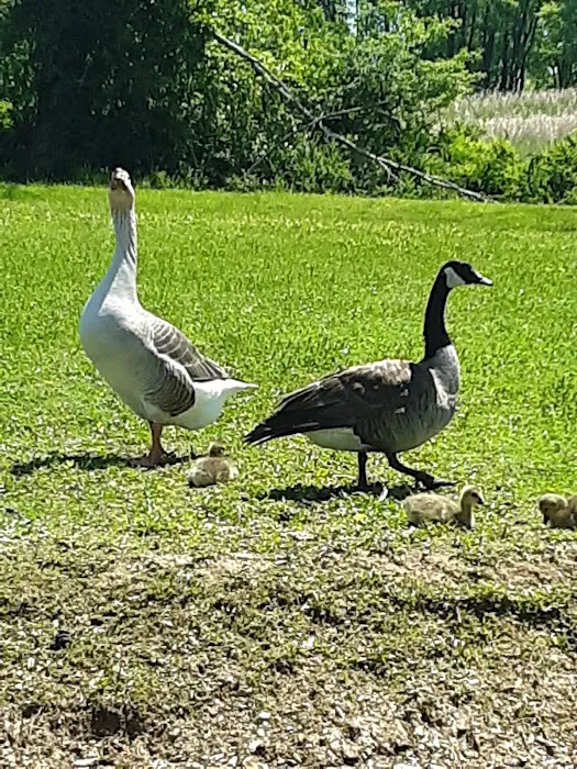 Muddy Run Park Picture 7