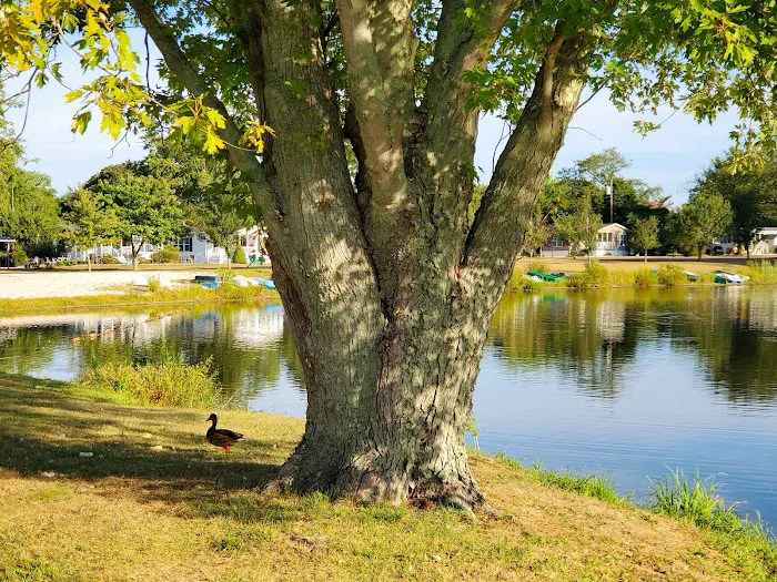 Garden Lake Park & Sales Picture 9
