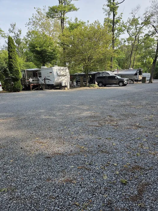 Cocalico Creek Campground Picture 3