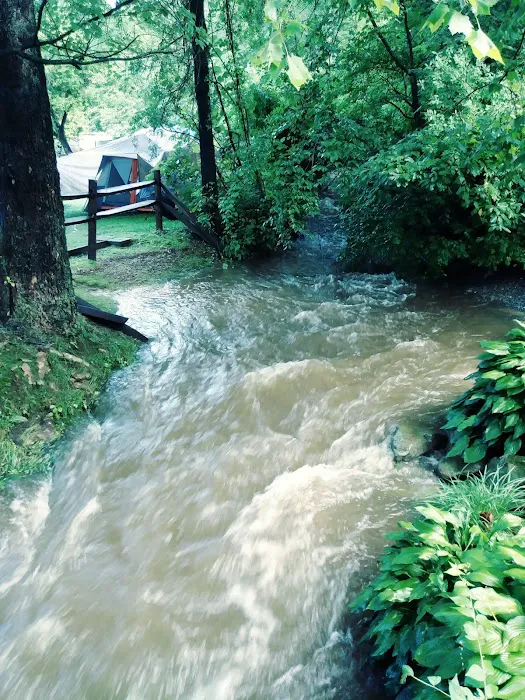 Cocalico Creek Campground Picture 8