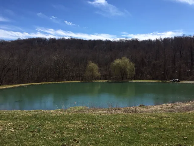Adventure Bound Camping Resorts - Eagles Peak Picture 8
