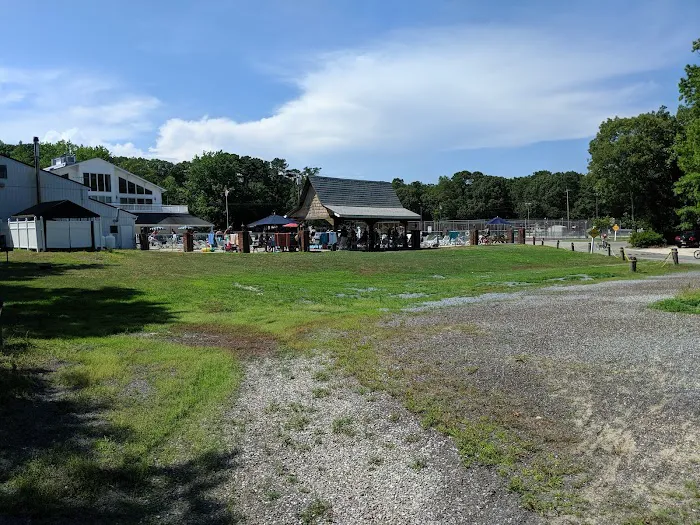 Shellbay Campground Picture 6