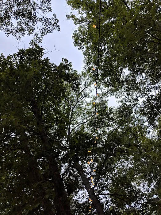 Shellbay Campground Picture 10