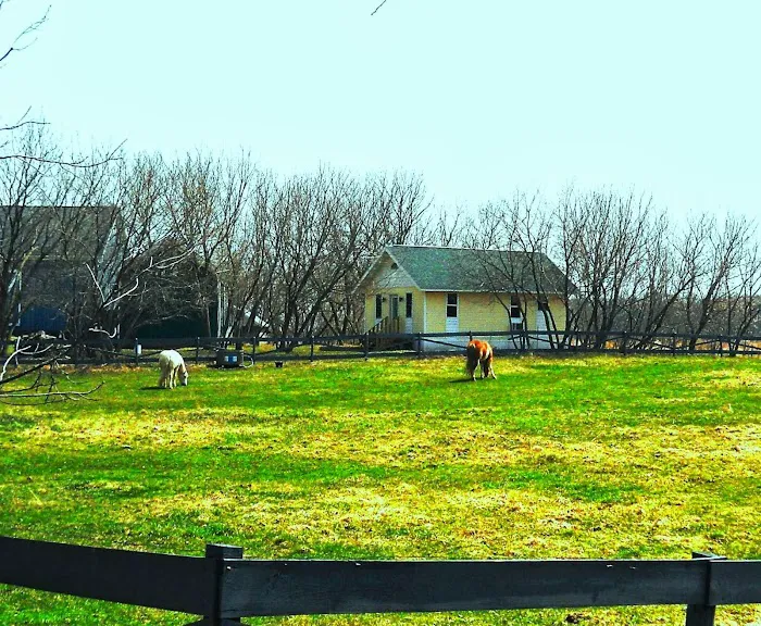 Grandma's Cottage Picture 7