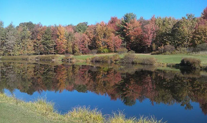 Kellystone Park Campground Picture 4