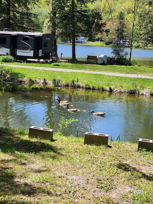 Forest Lake Campground Picture 6