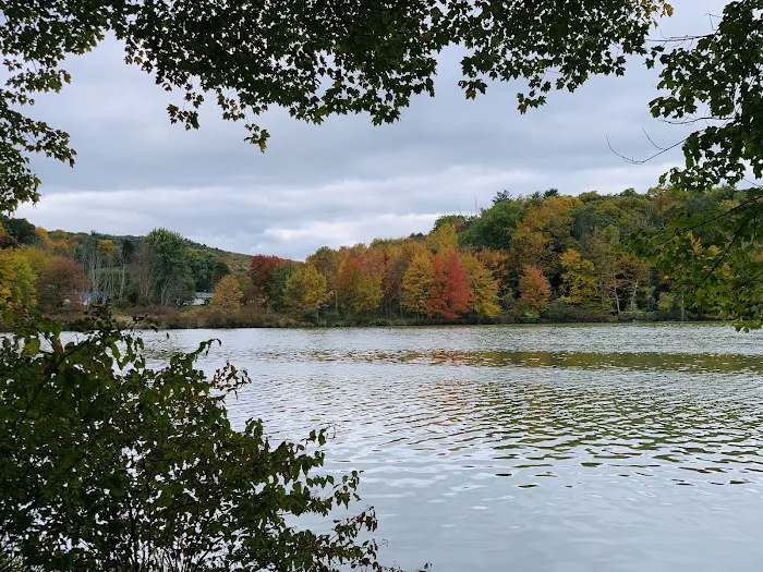 Frances Slocum State Park Campground Picture 8