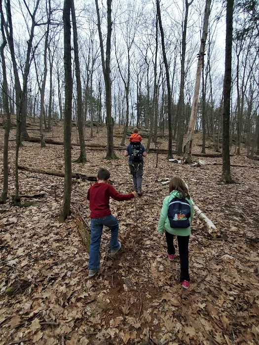 Frances Slocum State Park Campground Picture 2