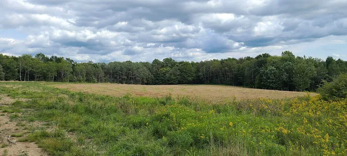 The Hills at Windsor Picture 5
