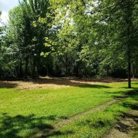 Whitetail Meadows ico