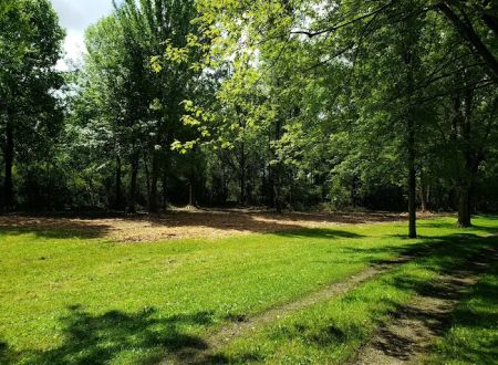 Whitetail Meadows