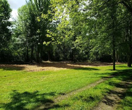 Whitetail Meadows