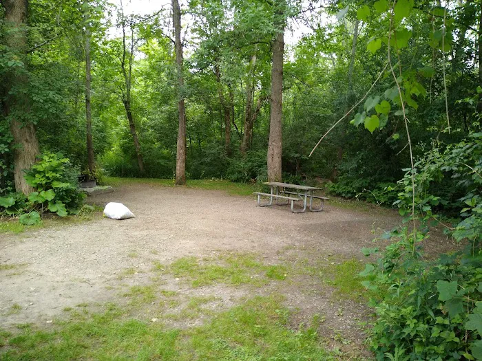 Thompson's Lake Campground Picture 2