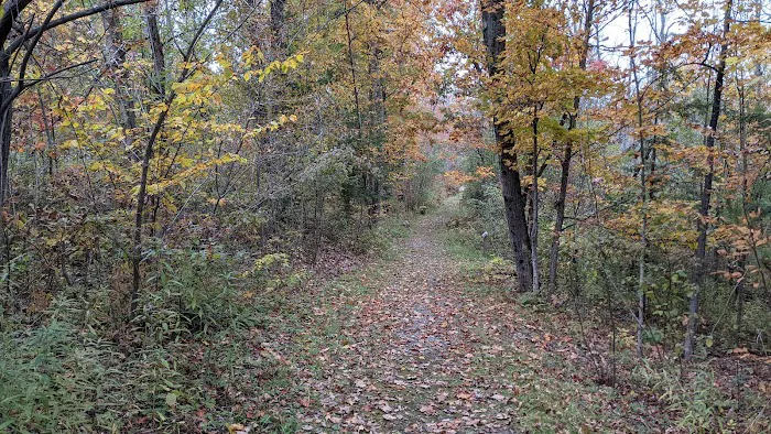 Thompson's Lake Campground Picture 3