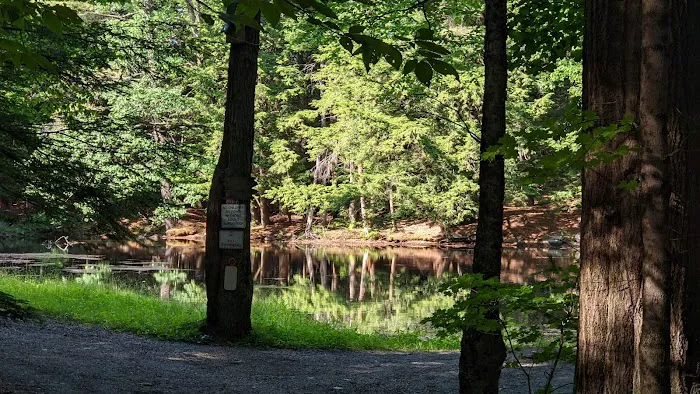 Alps Family Campground Inc Picture 2