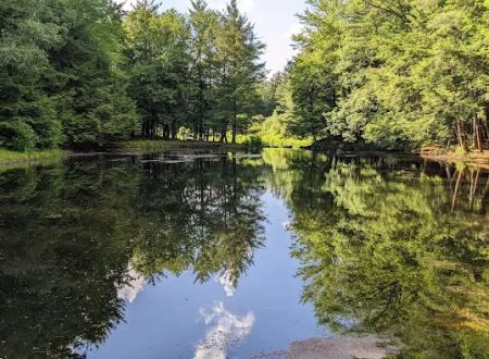 Alps Family Campground Inc