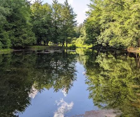 Alps Family Campground Inc