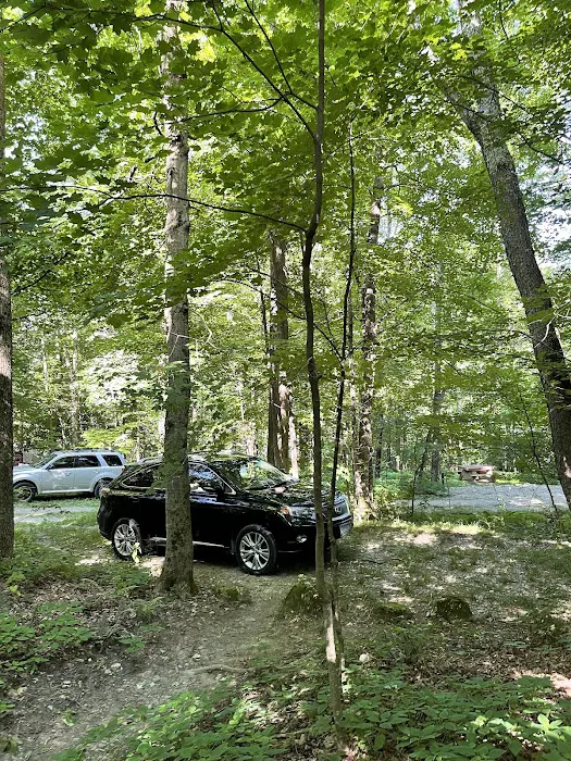 Privacy Campground Picture 8