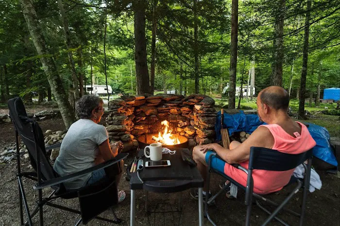 Mt. Greylock Campsite Park Picture 3