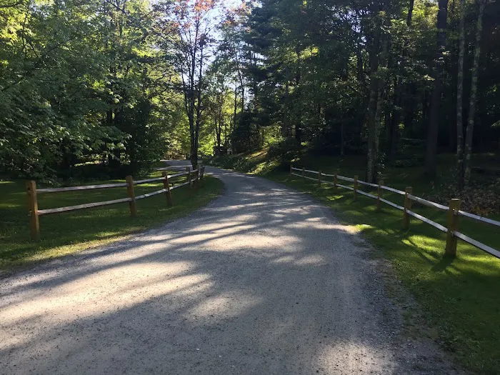 Mt. Greylock Campsite Park Picture 9